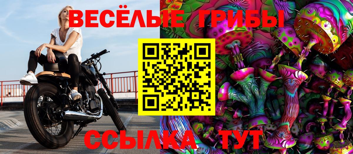 Гусев  Галлюциногенные грибы Psilocybine cubensis  Псилоцибиновые грибы ЛСД  Вход с VPN 