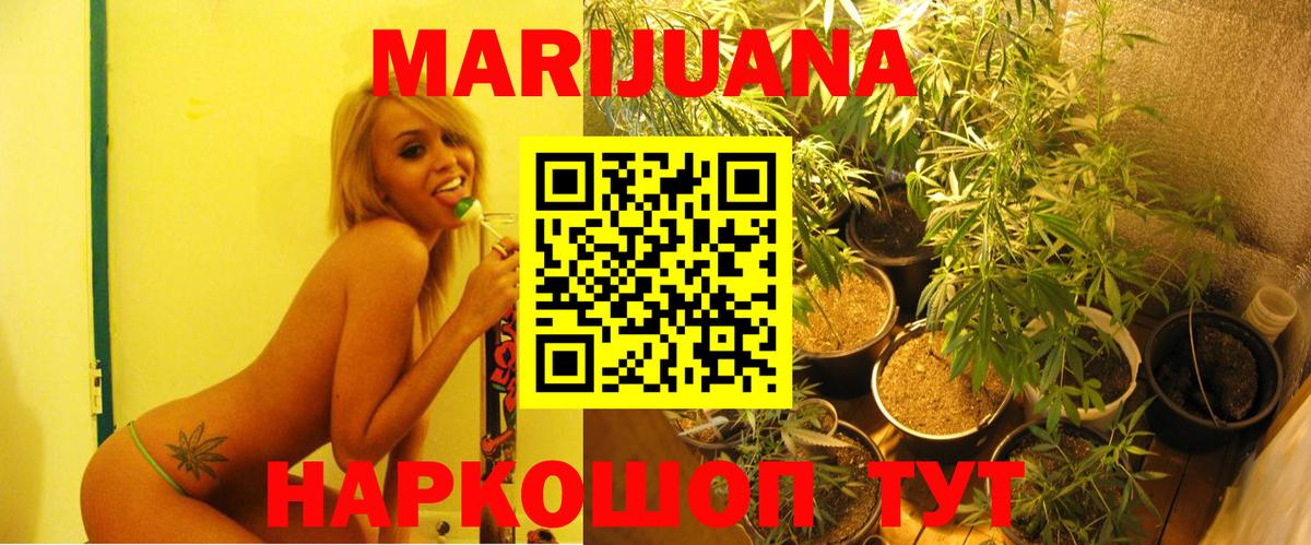 Бошки марихуана индика Гусев